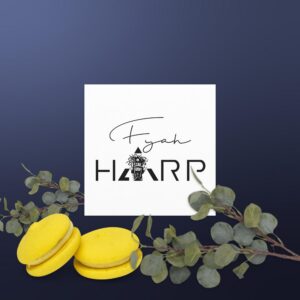 Car magnets /w Fyah Harp logo